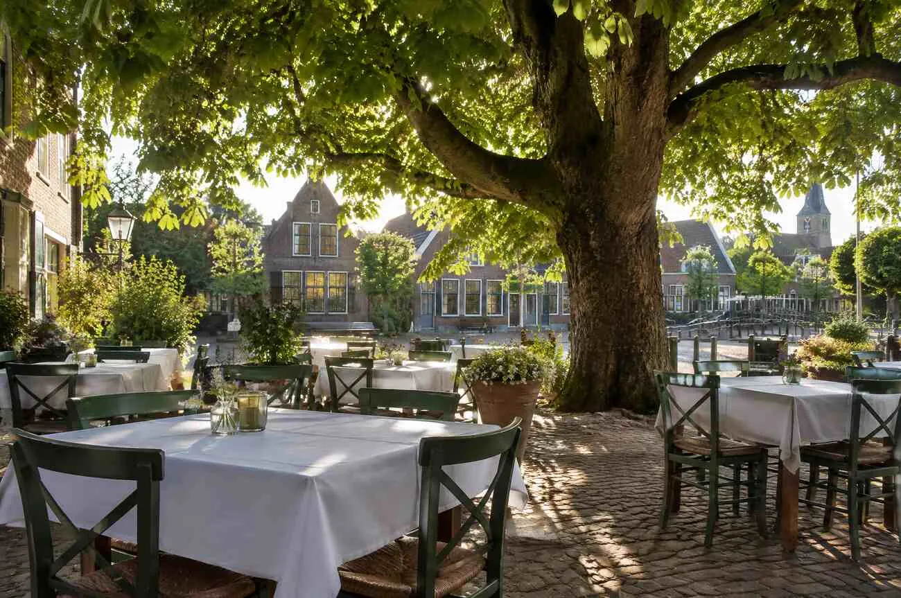 Terras onder de lindeboom